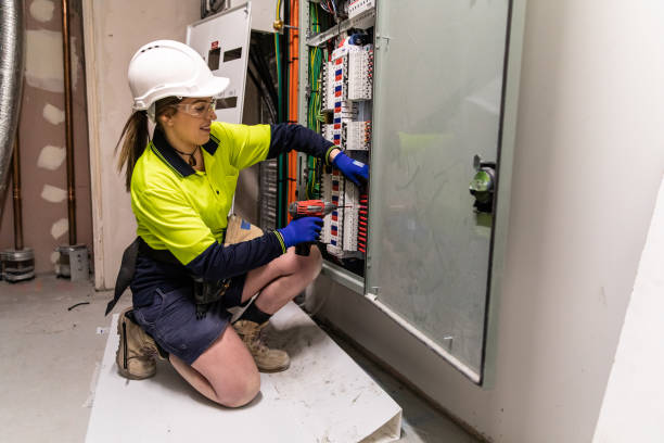 Best Electric Panel Repair  in Mount Vernon, TX