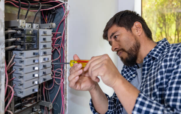 Best Electric Panel Repair  in Mount Vernon, TX